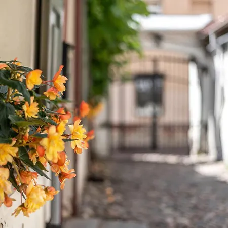 Oldtown #d Apartment